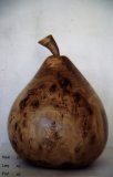 Poire Guyot